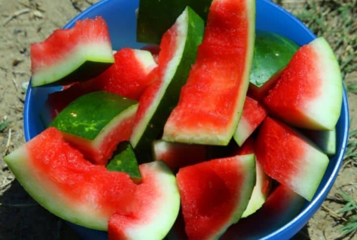 西瓜皮不僅能堆肥還能這么用！