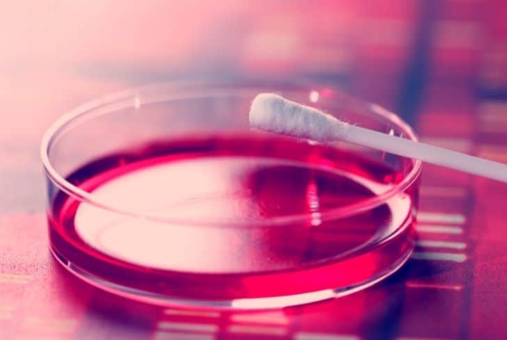 Q-Tips 是否可回收？